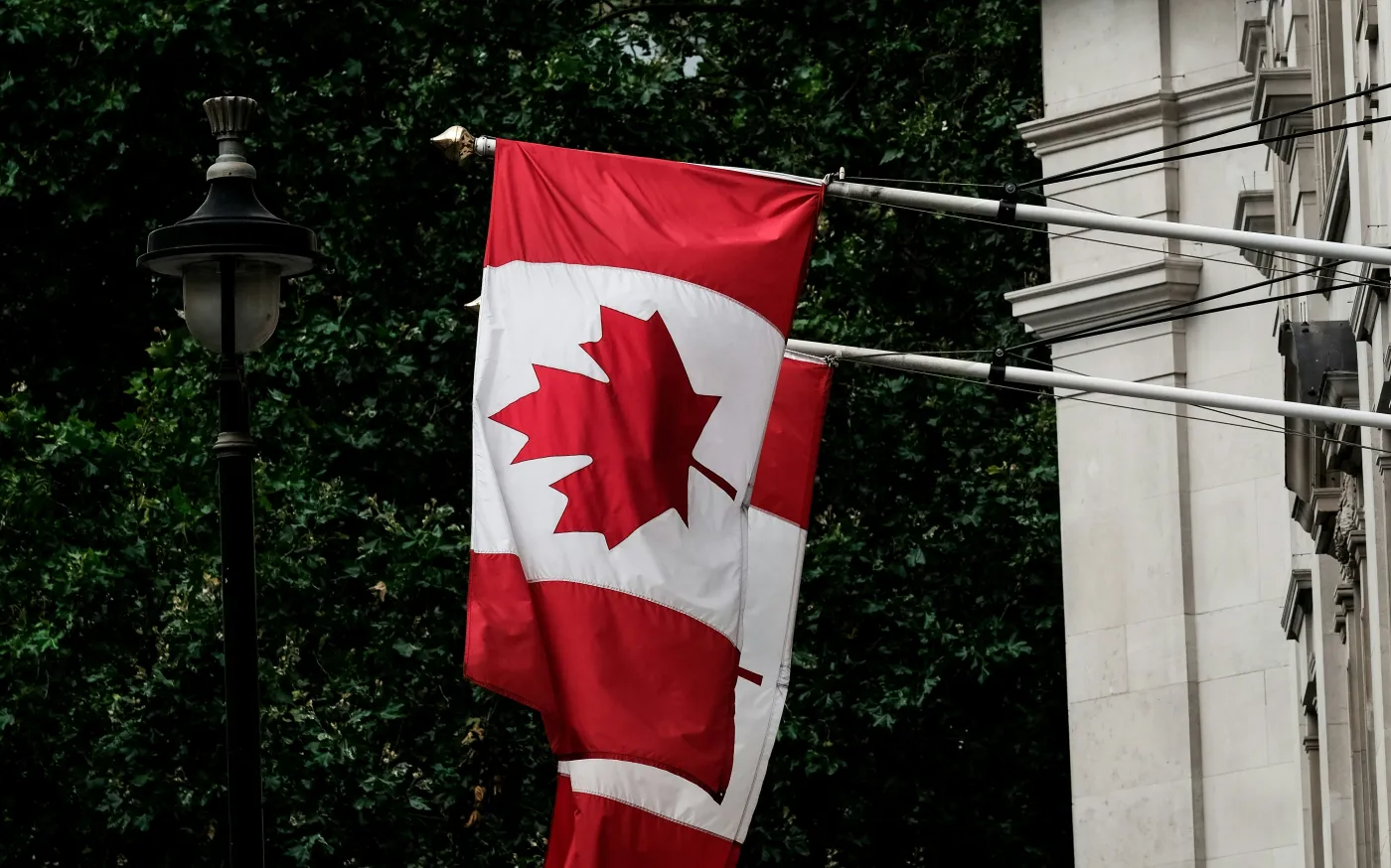 Canada flags by Paul Fiedler courtesy of Unsplash.