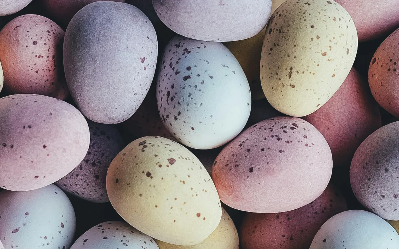 chocolate mini eggs by Annie Spratt courtesy of Unsplash.
