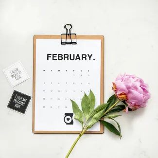 minimalist photography of a calendar and pink-petaled flower by Emiliana Hall courtesy of Unsplash.