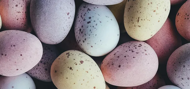 chocolate mini eggs by Annie Spratt courtesy of Unsplash.